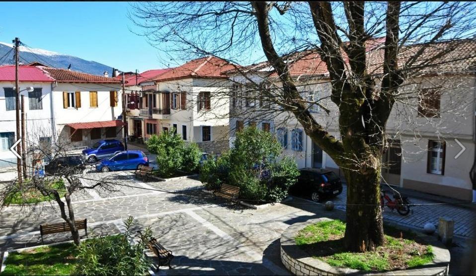 Platanos In The Castle Hotel Ioannina Bagian luar foto